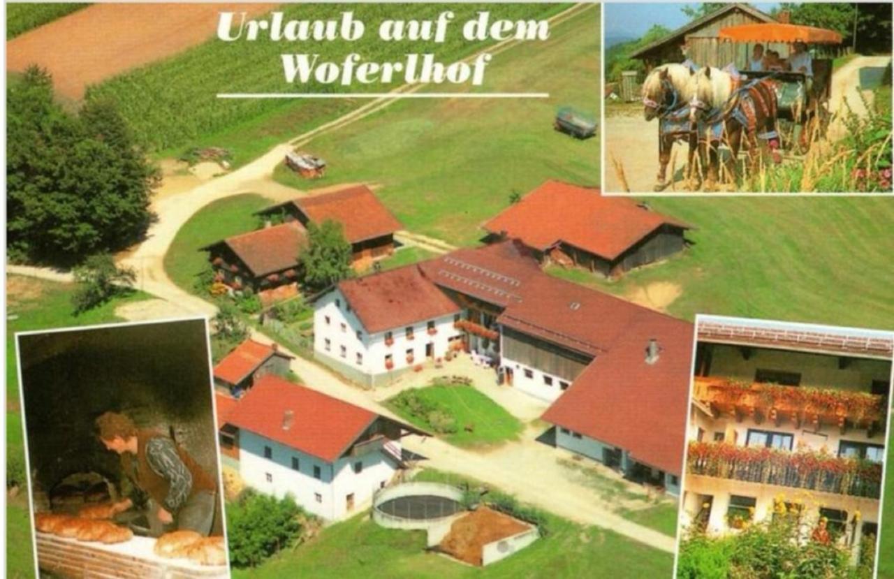 Woferlhof, Ferienhof Boxhorn Bobrach Екстер'єр фото