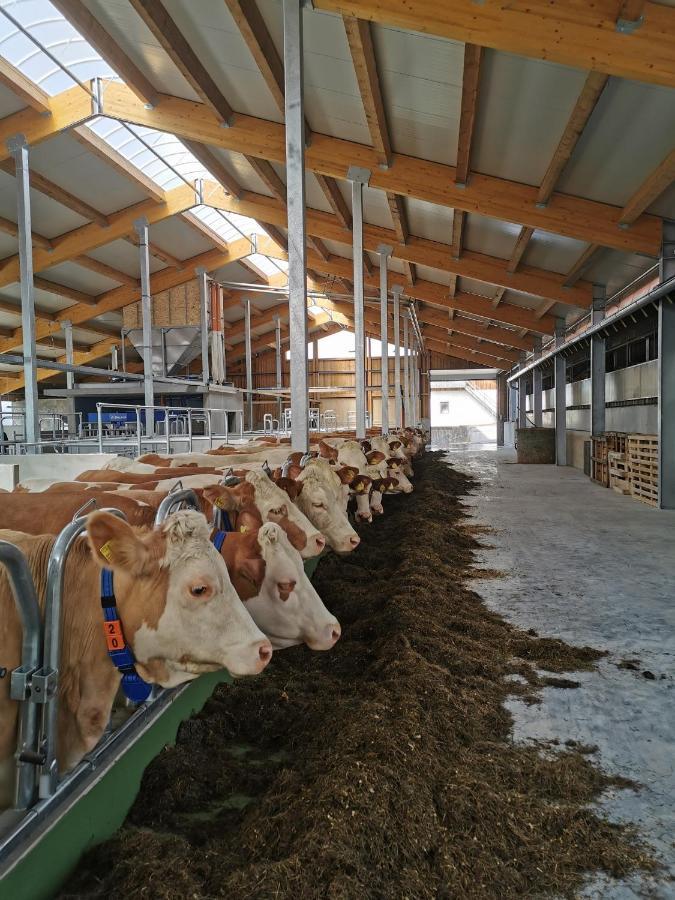 Woferlhof, Ferienhof Boxhorn Bobrach Екстер'єр фото